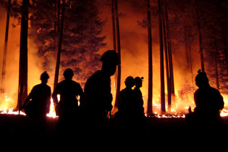 In the Eye of a Firestorm