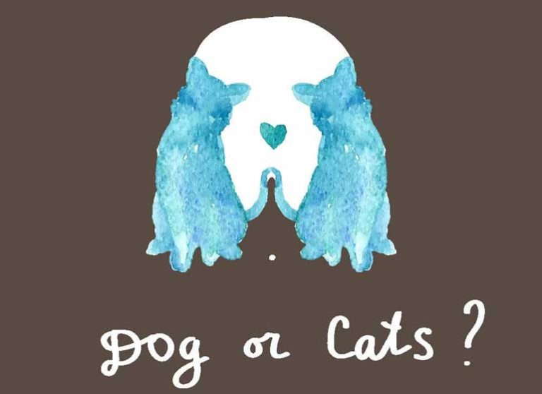 Undecided On Whether You Are A Dog Or Cat Lover? This Photo Will Help You Decide