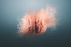 30 amazing facts about your brain that will blow your mind