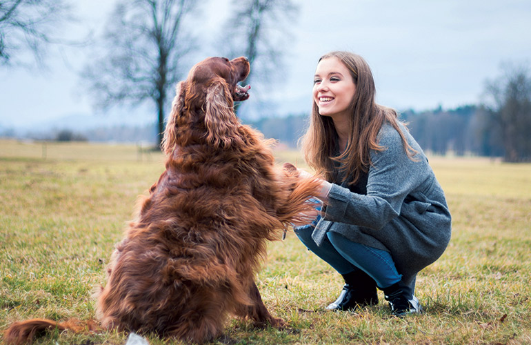 6 ways to make your dog smarter