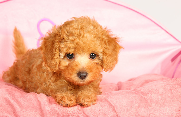 I’m adorable in any size