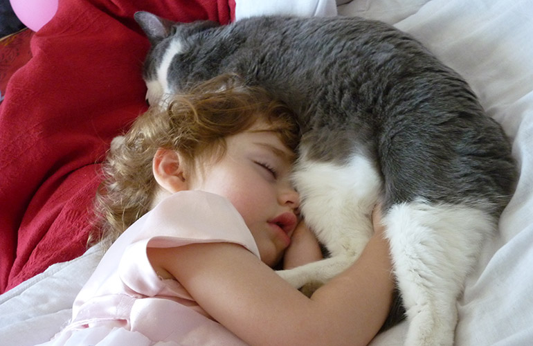 Your cat sleeps on your head