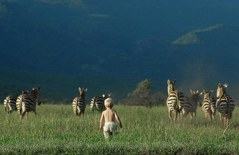 9. Where the wild things are