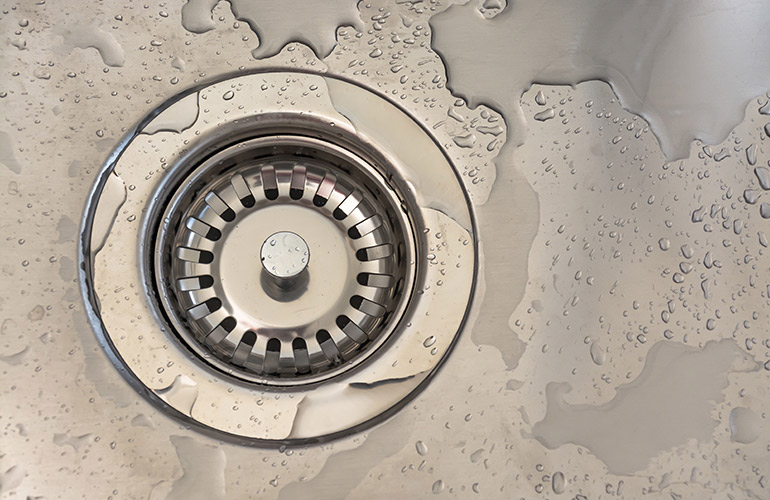 Even the cleanest kitchen has germs