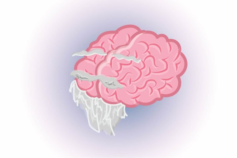 Your brain is smaller than your ancestors’