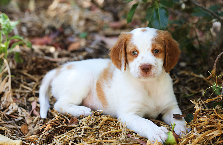 I like to snuggle as much as I like to hunt