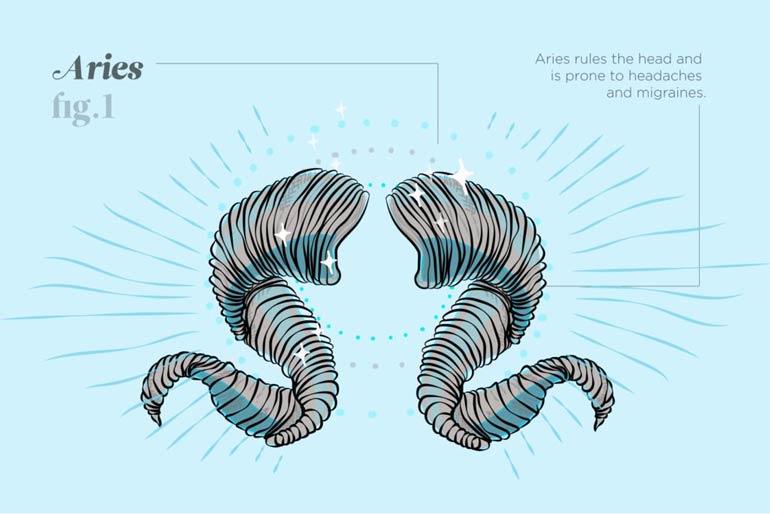 Aries (March 21-April 19)