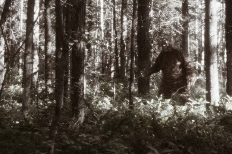10 strange urban legends that turned out to be true