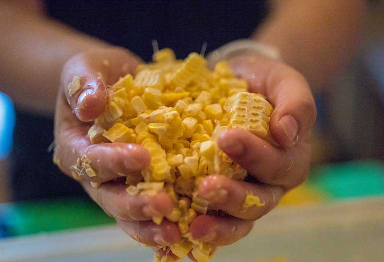 1. Corn