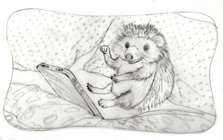 The Hedgehog