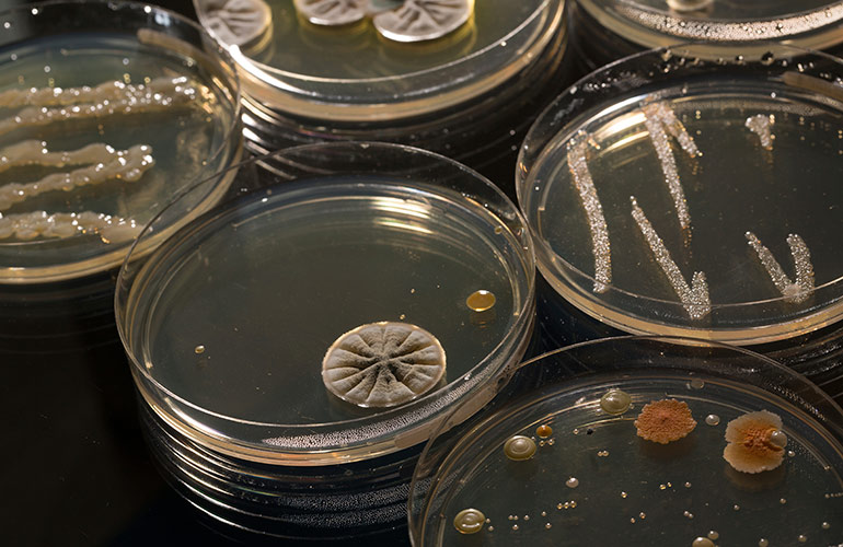 1. Penicillin