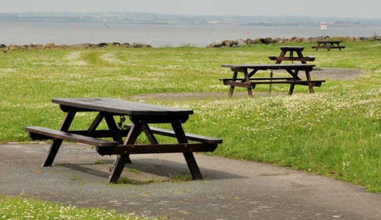 Set up separate food tables for bugs