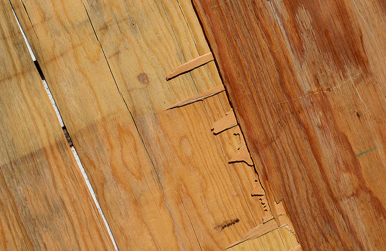 5. Pressed-wood products such as plywood and particle board