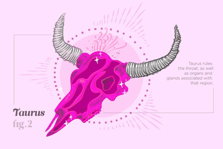 Taurus (April 20-May 20)