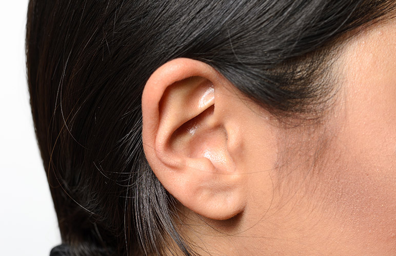 Tragus