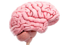 14 weird brain exercises that help you get smarter