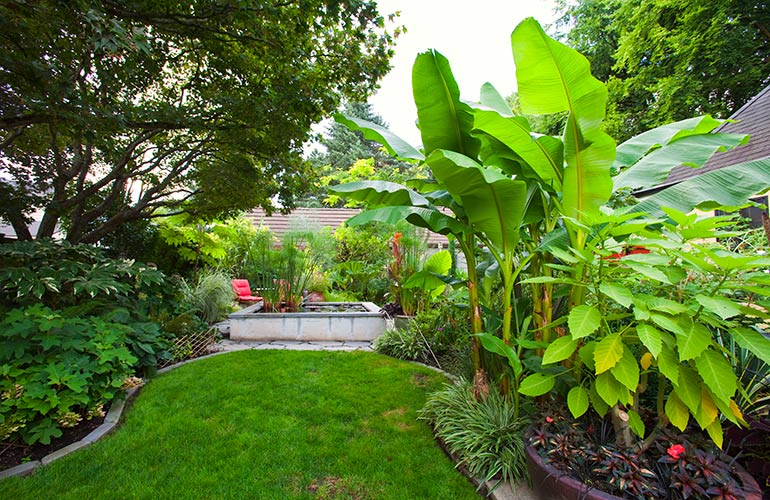 Your landscaping