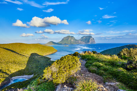 An Island of Wonders