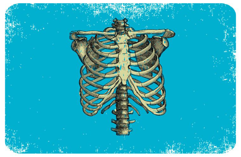 Your skeleton is all wet