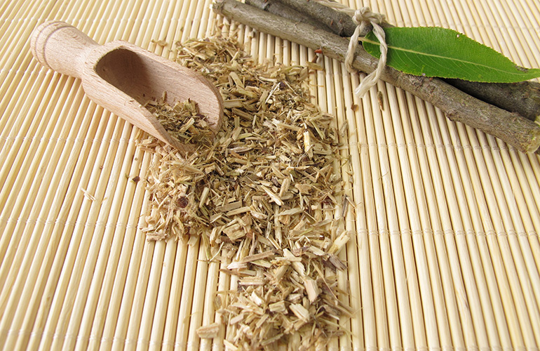Did you know you can use willow bark for pain relief instead of aspirin?