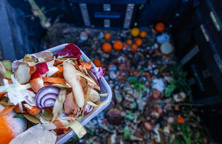 Compost invigorator