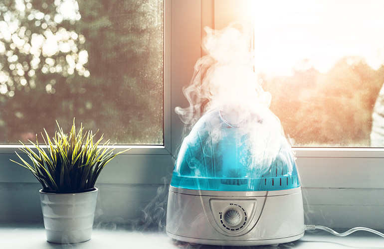 Fix a stinky humidifier