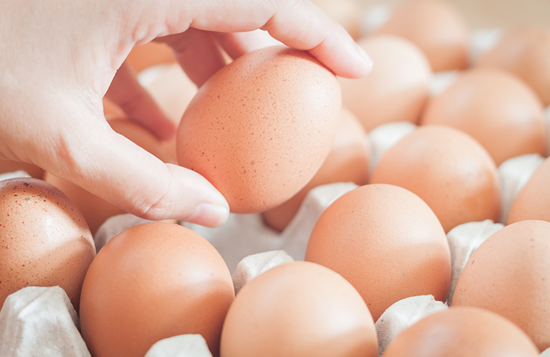 This is an egg-cellent idea!