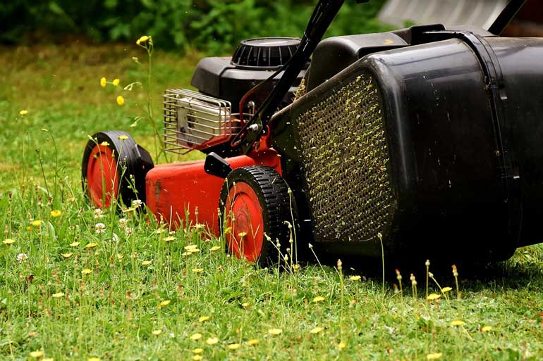 Lawn care
