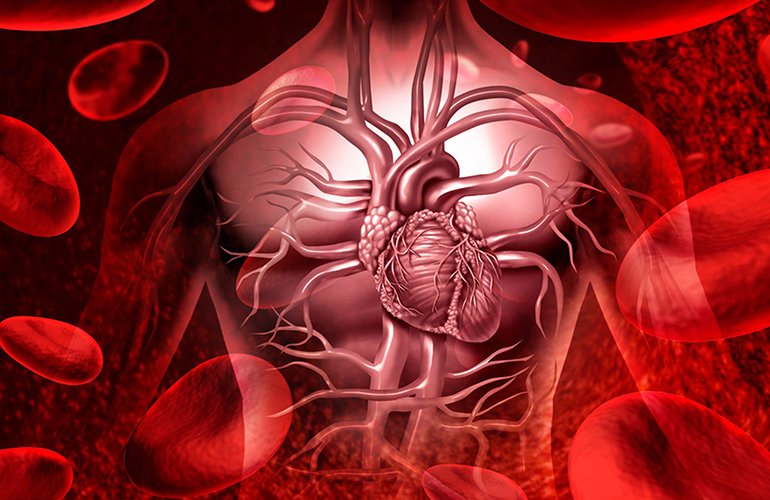Heart disease: Type AB, B, and A all increase risk