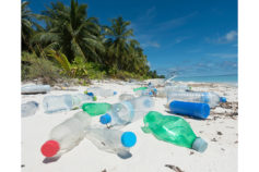 13 brilliant ways other countries are replacing plastic