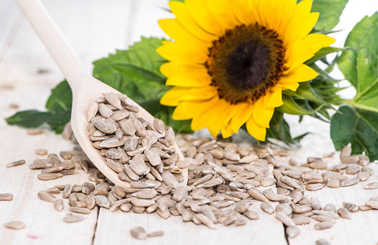 Sunflower seeds