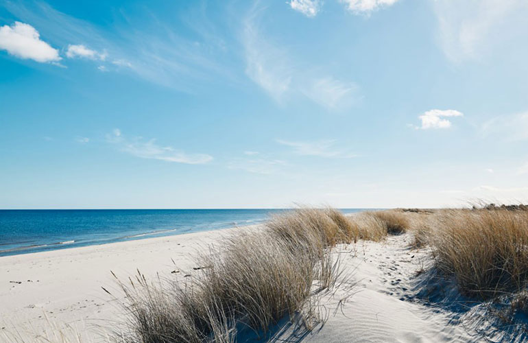 Sand dunes
