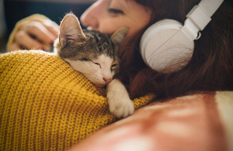 Cosy kitty