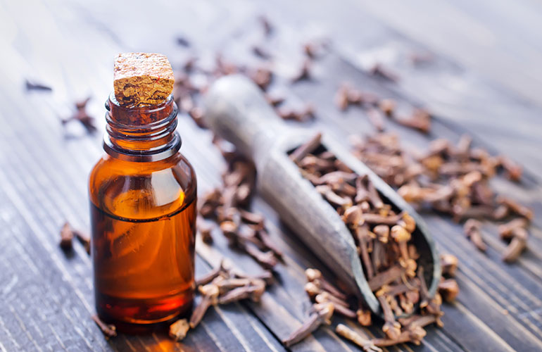 Toothache remedy: clove oil