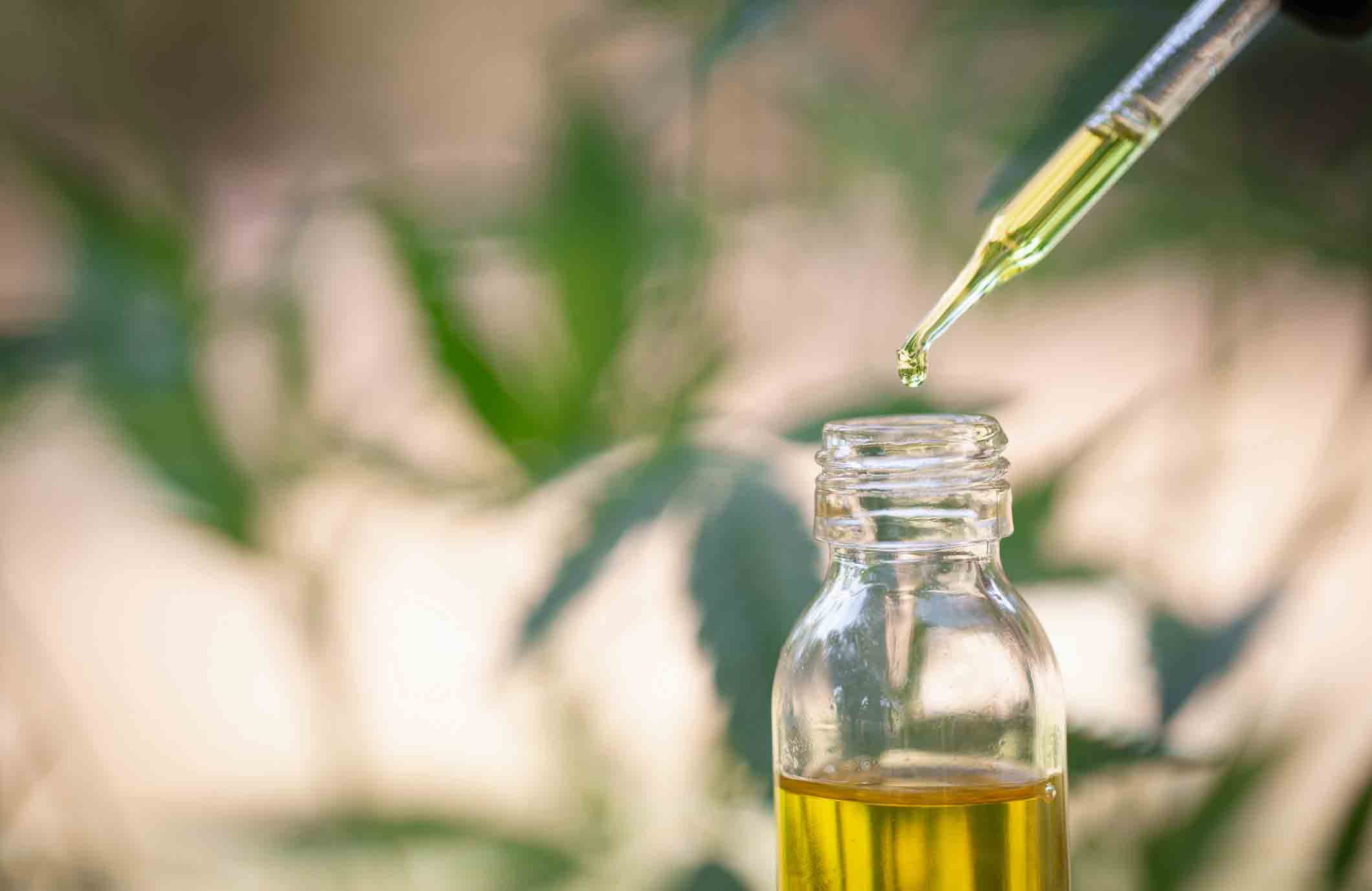 Make your home smell amazing