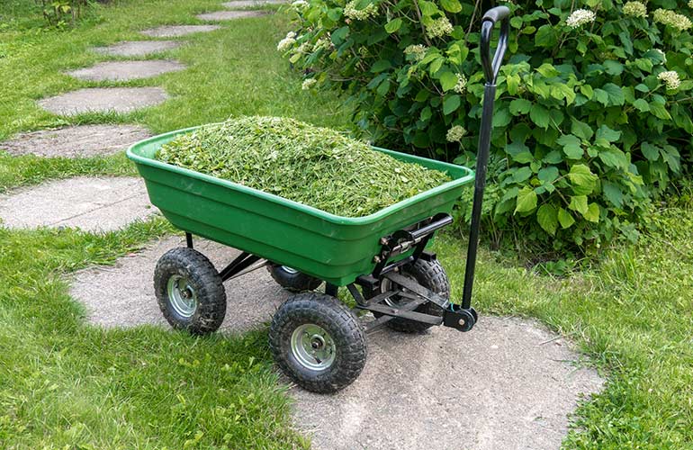 Don’t remove grass clippings