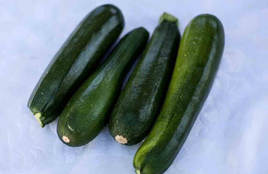 Plant prolific zucchinis
