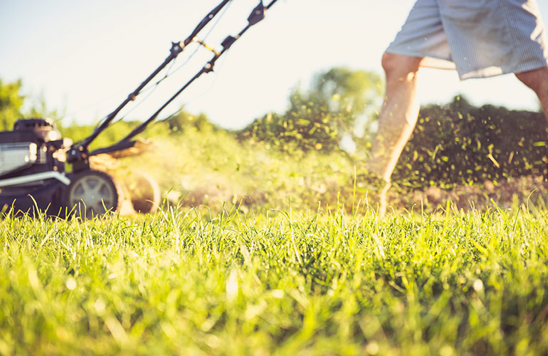 Don’t mow in the same direction every time