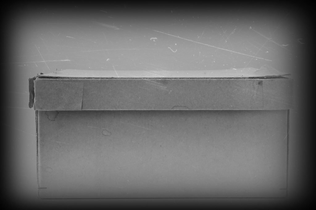 The boy in the box