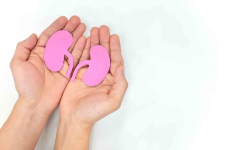 One Kidney, Three Lives