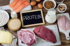 protein foods