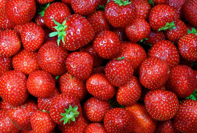 A vinegar bath makes berries last longer