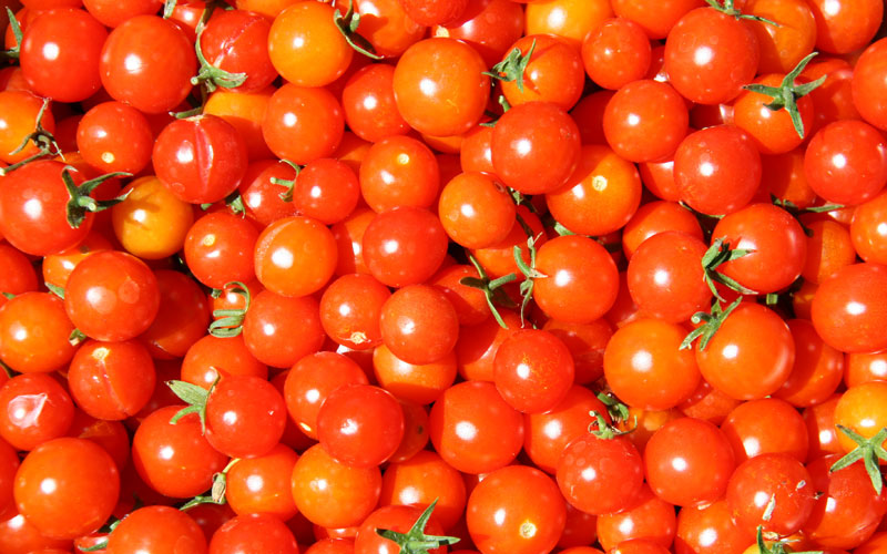 Don’t store tomatoes in the fridge