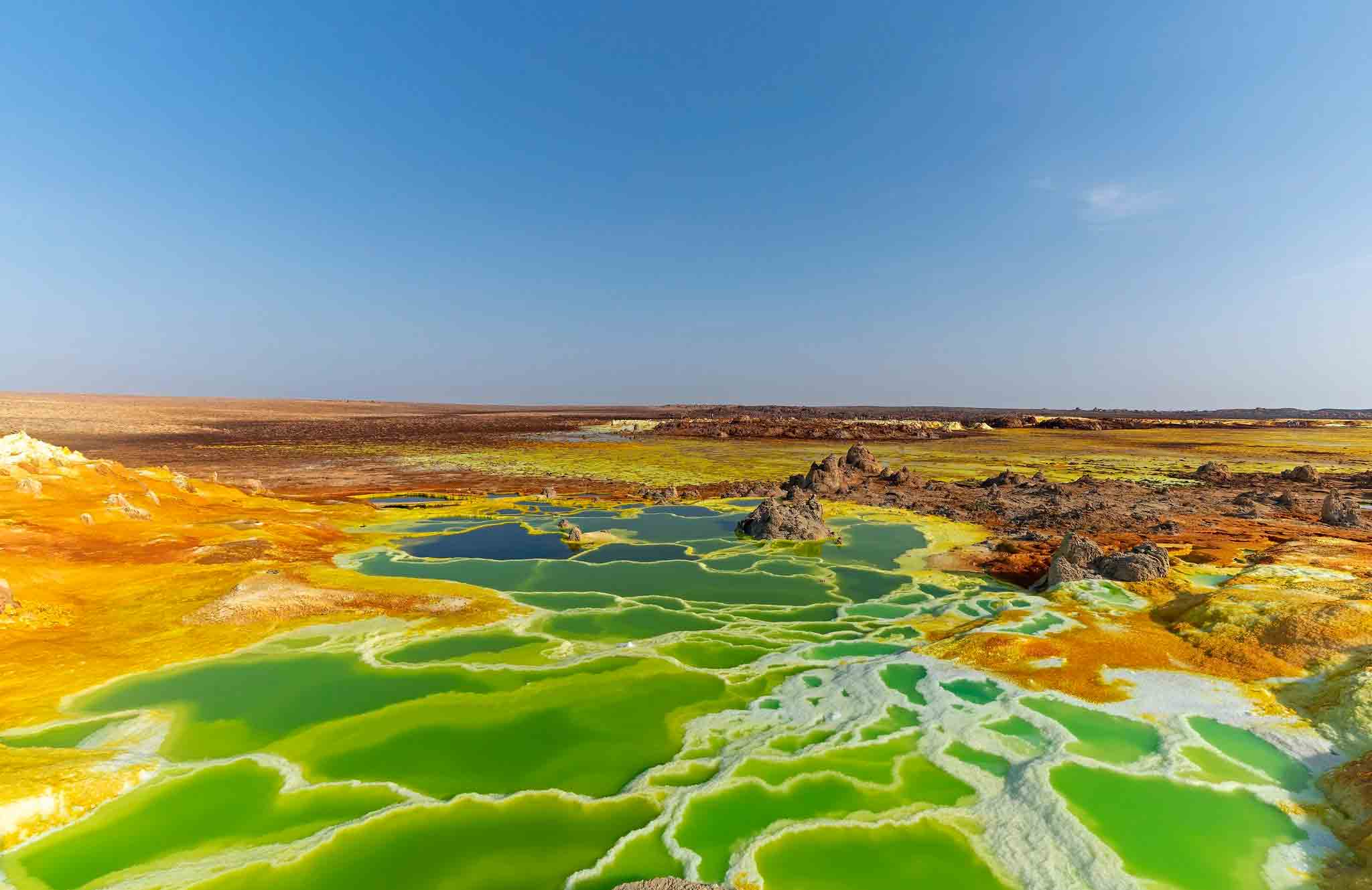 A strange and beautiful world
