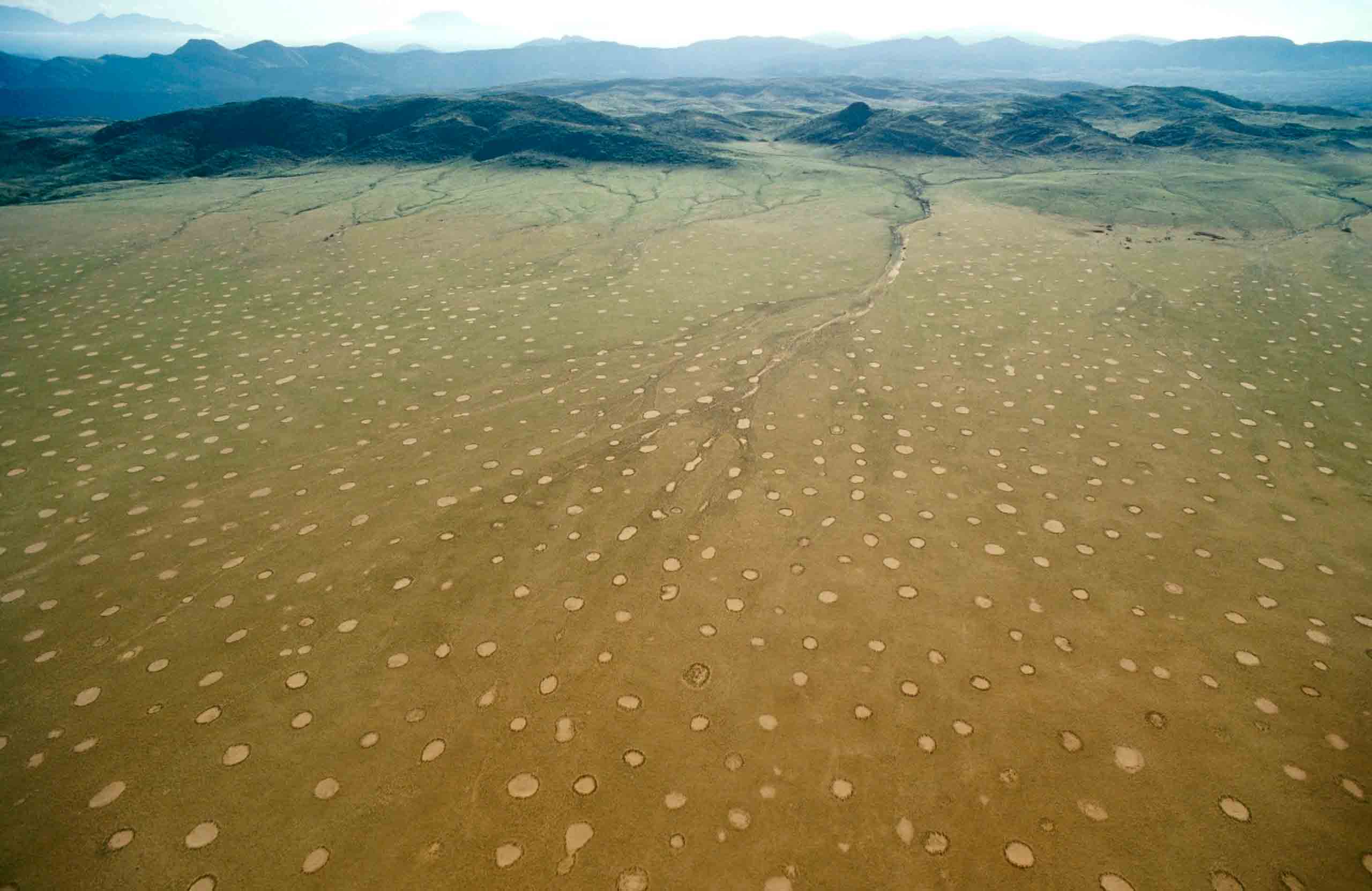 Fairy Circles
