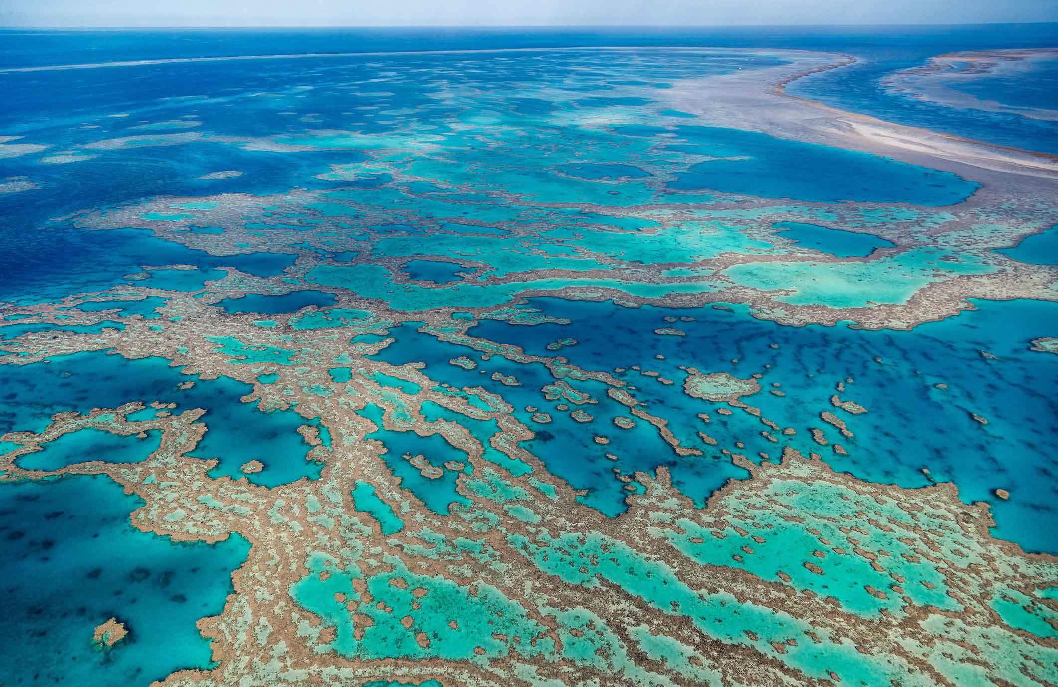 The Great Barrier Reef