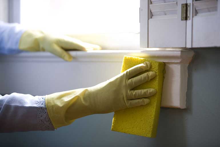 Using the same cloth to clean an entire space