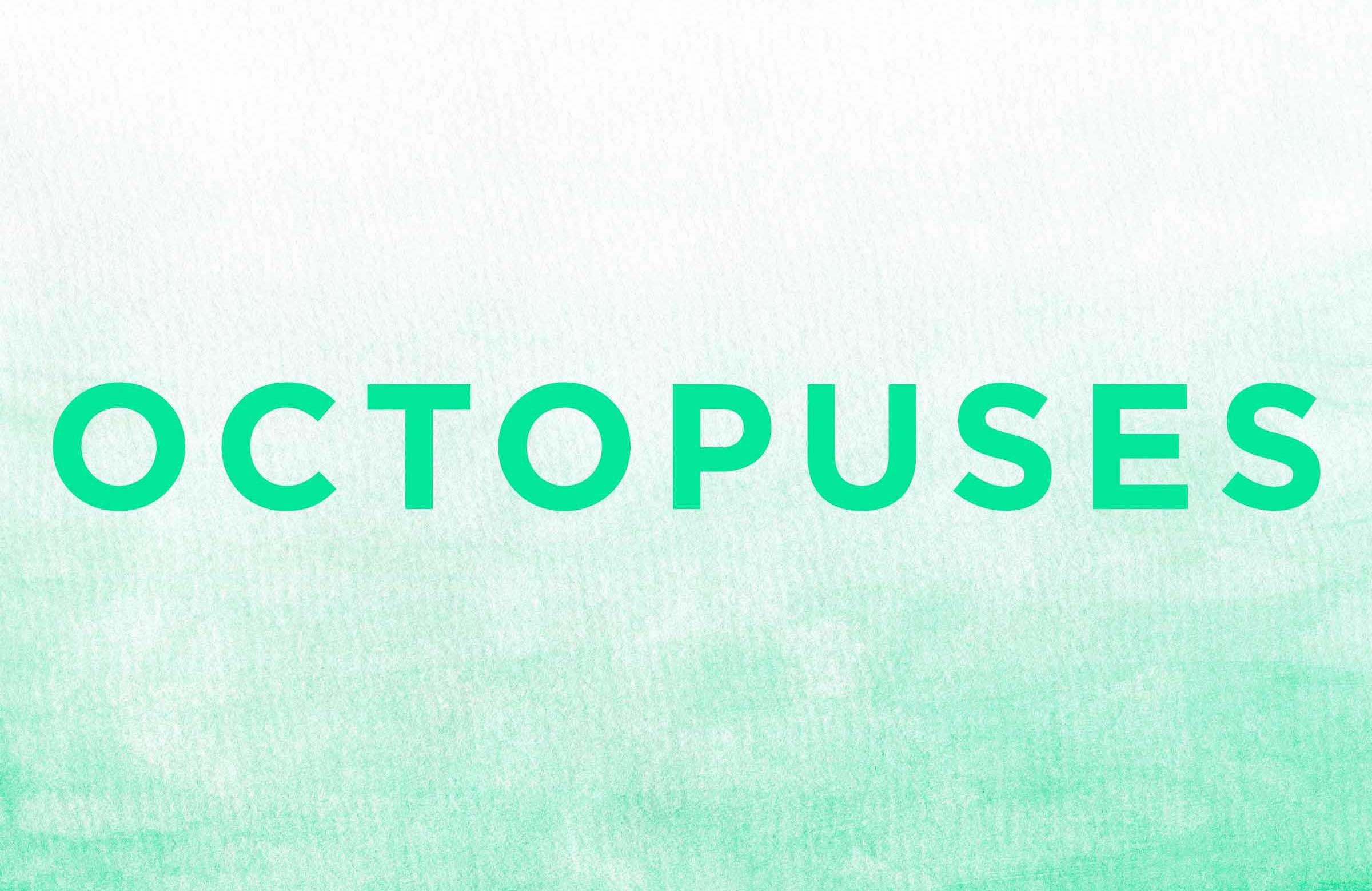 The plural of “octopus” is…