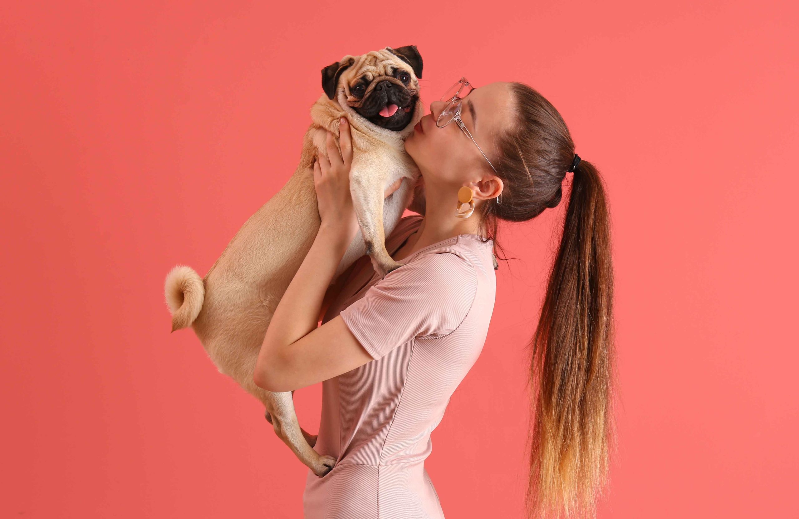 Pug