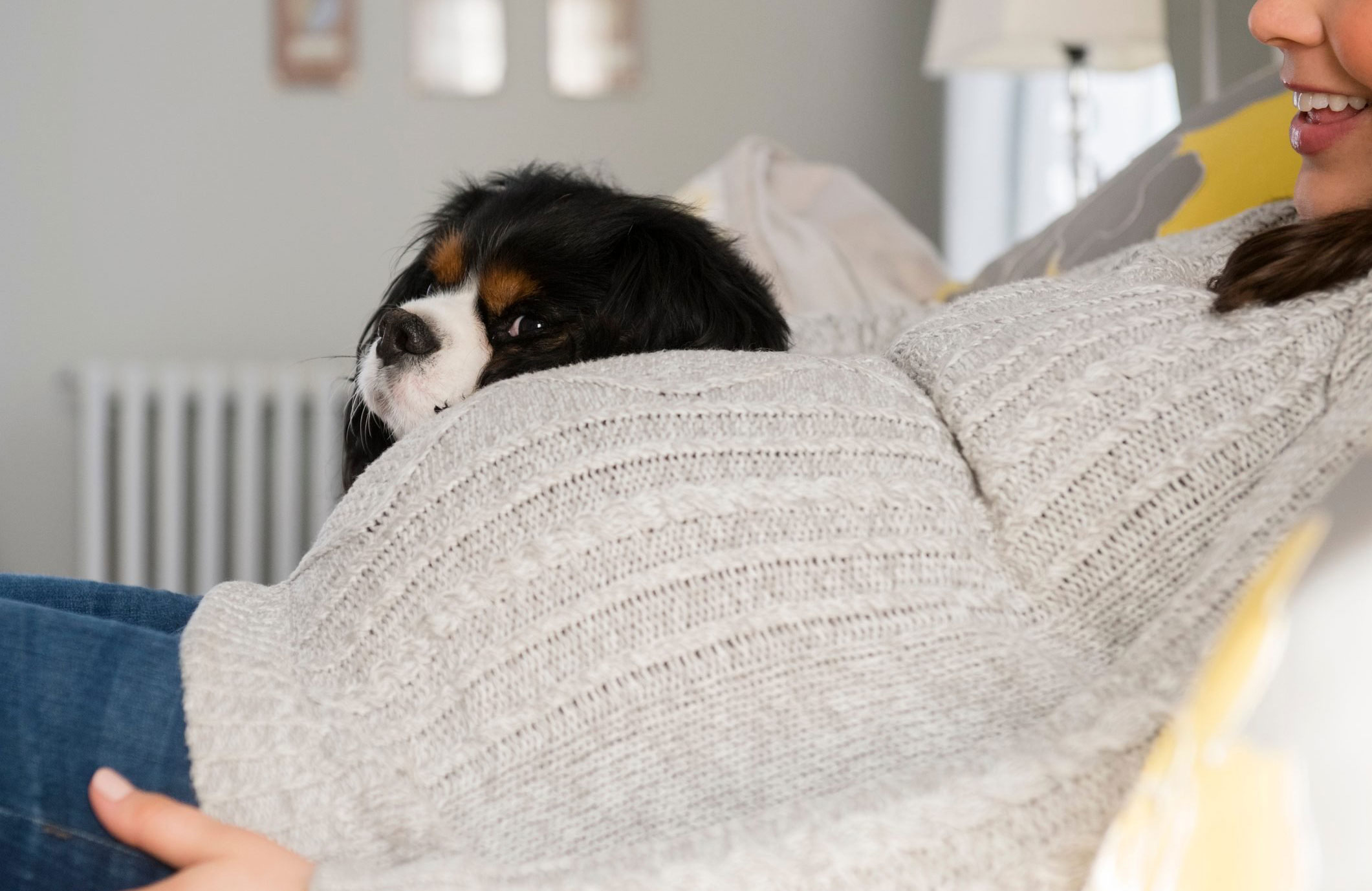 Ovulation and pregnancy